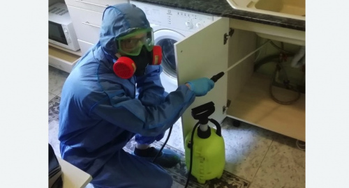 Уничтожение муравьев в квартире. Якутск