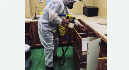 Дезинсекция квартиры. Якутск