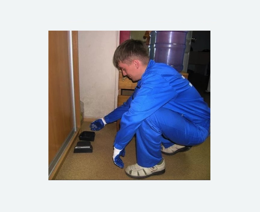 Дератизация крыс в Якутске