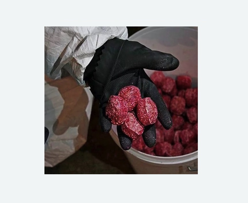 Обработка от крыс в Якутске