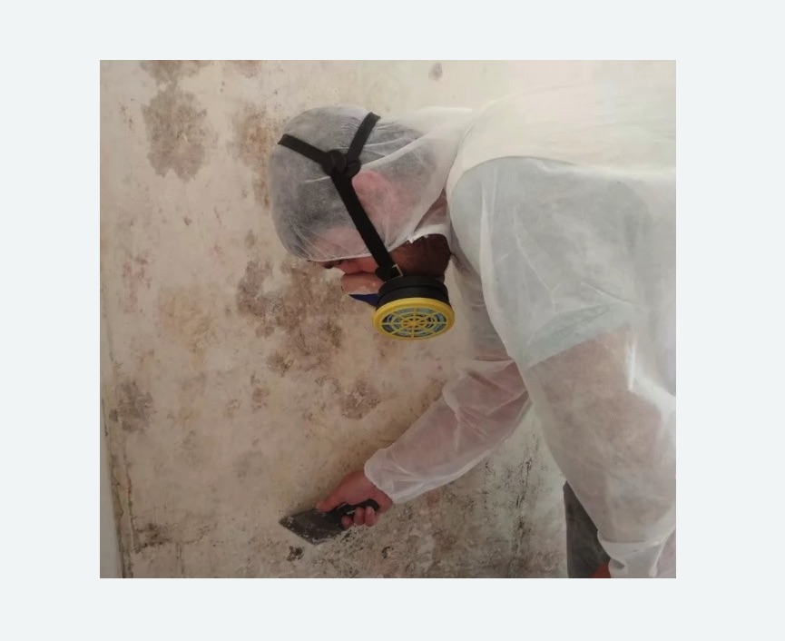Обработка стен от плесени в Якутске