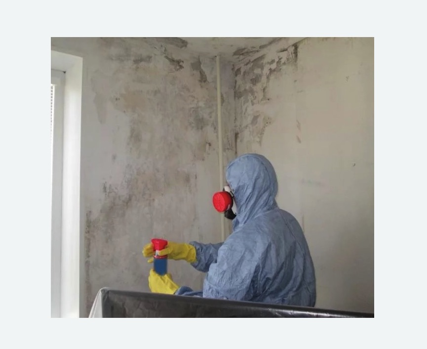 Удаление плесени в квартире в Якутске