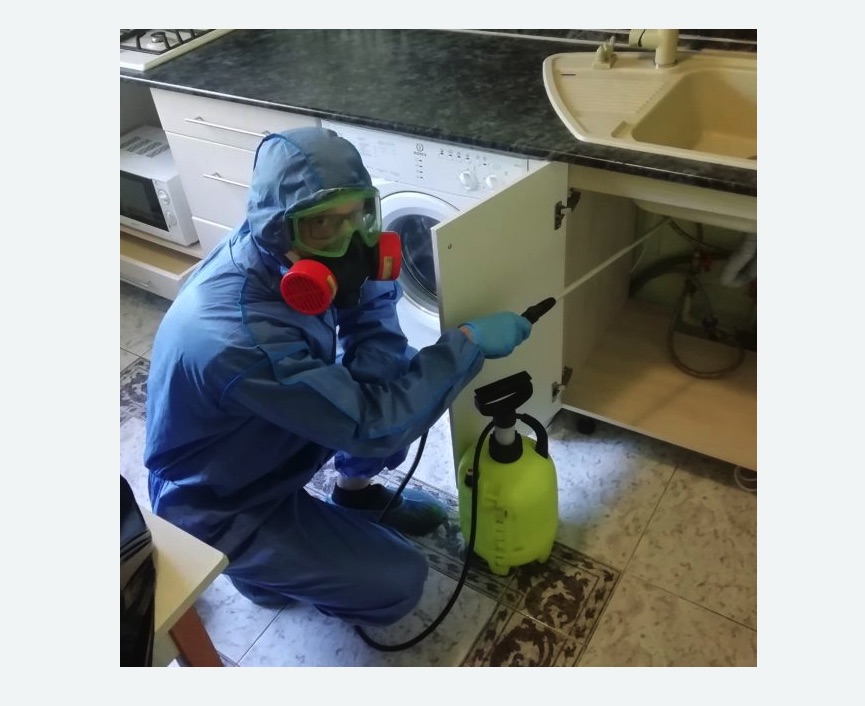 обработка от муравьев в квартире в Якутске